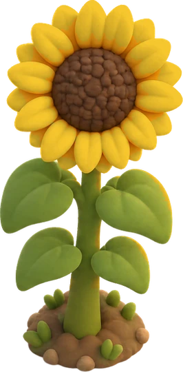 Girasol